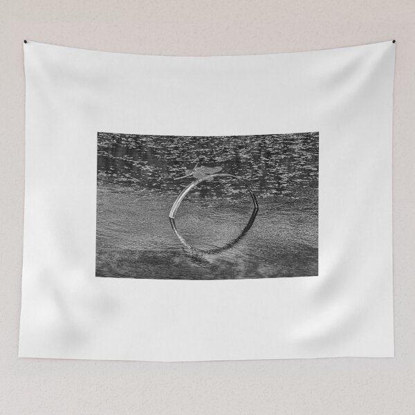Item preview, Dragonfly Sculpture Monochrome designed and sold by Steve Purnell Photography.
