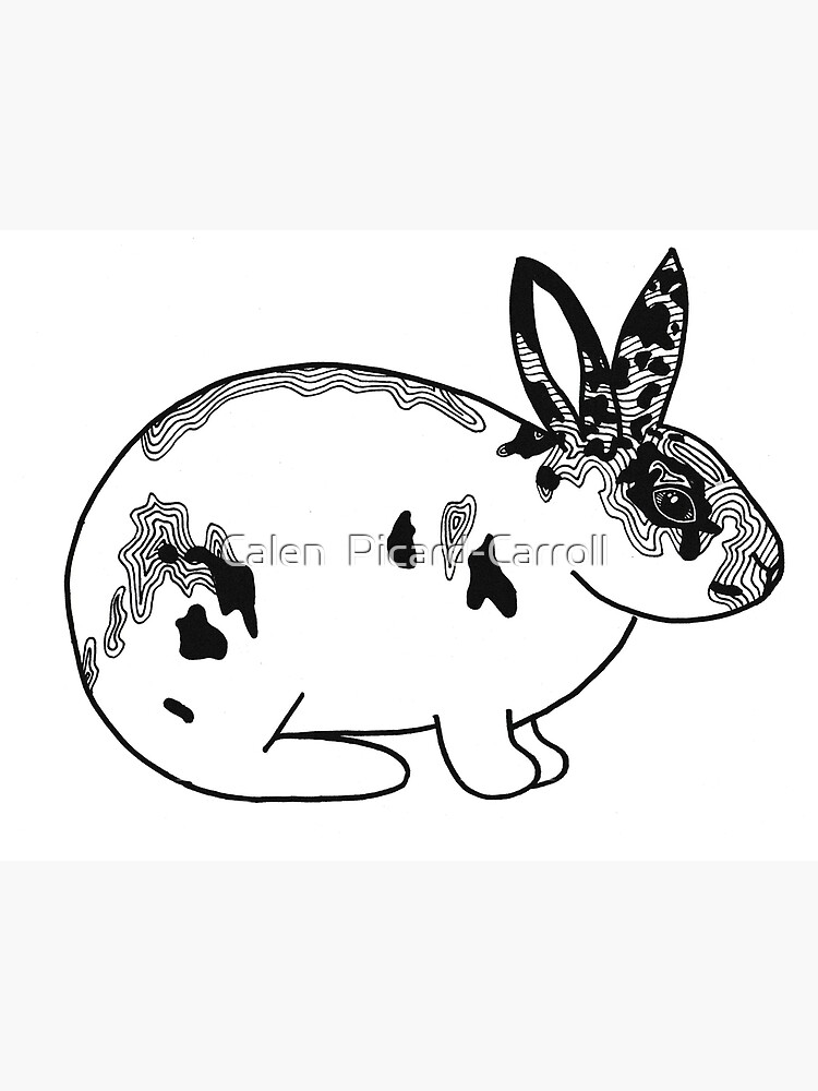 Line Design Rex Rabbit