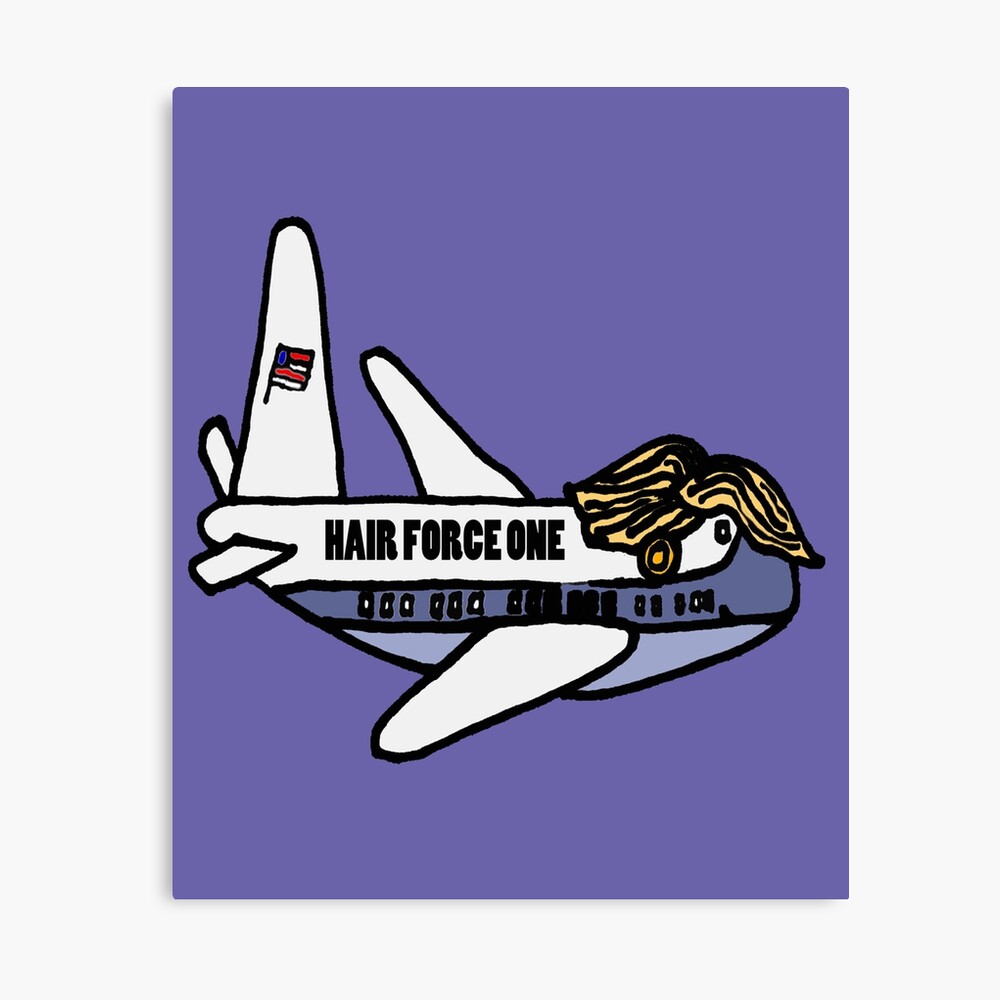 hair force one image