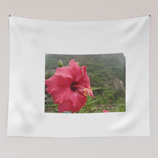 Item preview, Hibiscus Flower with Water Droplets designed and sold by FabPosters4Less.
