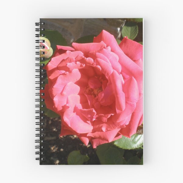 Item preview, A Pink Rose in Stratford designed and sold by Xhex115.