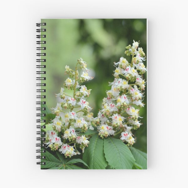 Item preview, Chestnut Tree in Bloom designed and sold by Kathleen Brant.