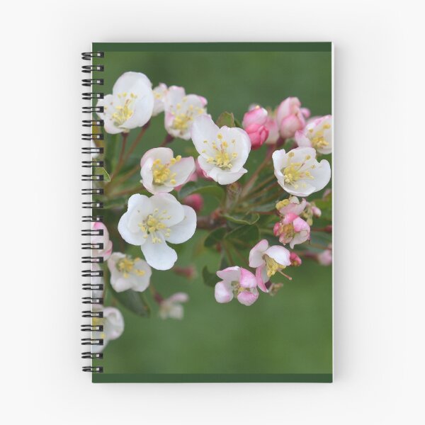 Item preview, Early Spring Blossoms designed and sold by Kathleen Brant.