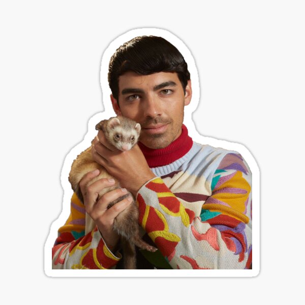 Joe Jonas + un hurón Pegatina