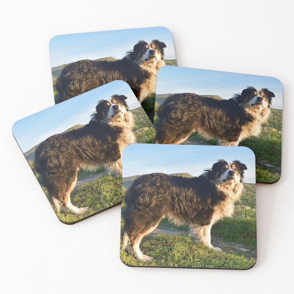 Item preview, Travels with Laddie. designed and sold by Michael Haslam.