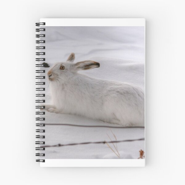 Item preview, Snowshoe Hare designed and sold by Larry Trupp.