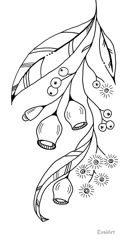 "Gum nuts gum tree drawing" by EveiArt Redbubble