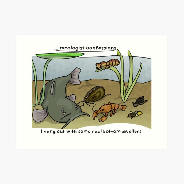 Limnologist confessions Art Print