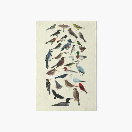 Bird Fanatic Art Board Print