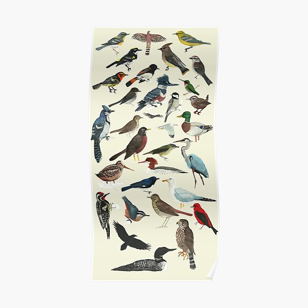 Bird Fanatic Poster