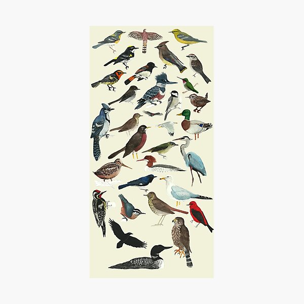 Item preview, Bird Fanatic designed and sold by Holly Grant.