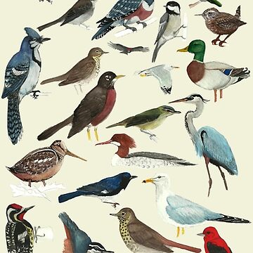 Artwork thumbnail, Bird Fanatic by Holly Grant