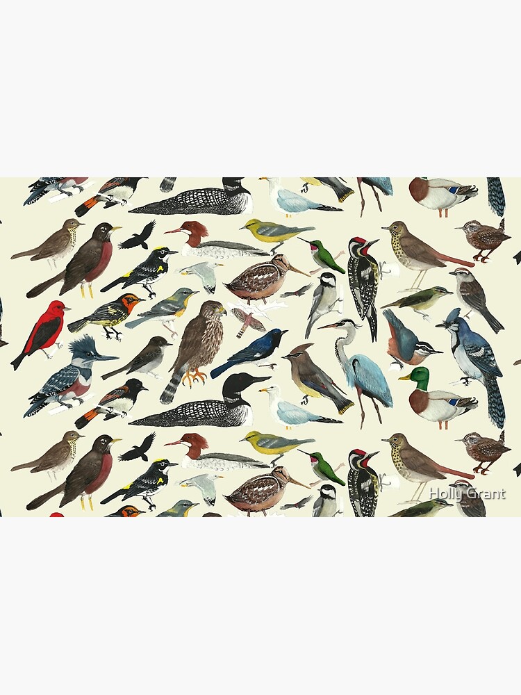 Bird Fanatic by LadyElizabeth