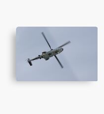 Cougar Metal Print