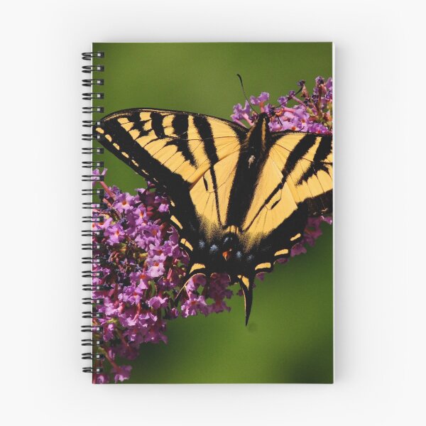 Item preview, TIGER SWALLOWTAIL BUTTERFLY. designed and sold by RoseMarie747.