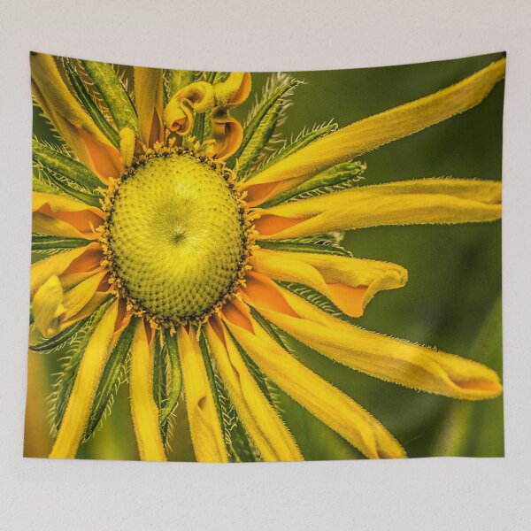Item preview, Mardi Gras designed and sold by Cathy Donohoue.