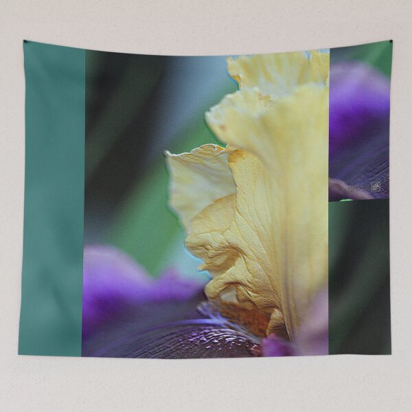 Item preview, Tall Bearded Iris named Final Episode designed and sold by JMcCombie.
