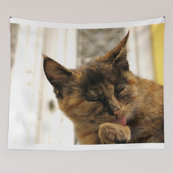 Item preview, small cute cat designed and sold by habish.