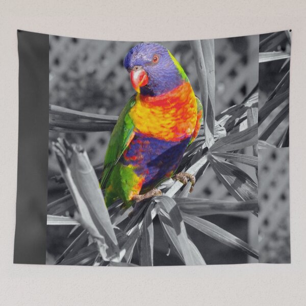 Item preview, As bright as the sun designed and sold by Jayson Gaskell Photography.