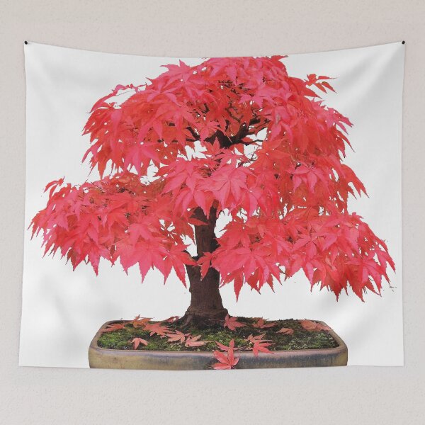 Item preview, Cherry Maple designed and sold by Dianamorg9462.