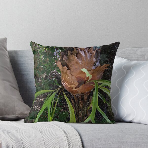 Item preview, Staghorn Fern and also the answer to my mystery photograph.....! designed and sold by Roy  Massicks.