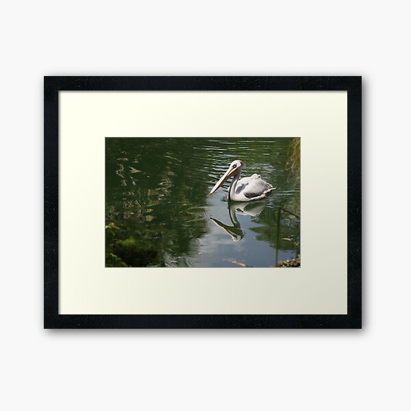 Item preview, Pelican Reflection designed and sold by Photos67.