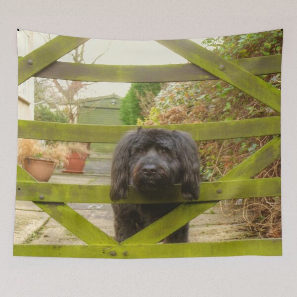 Item preview, Beware of the Dog designed and sold by Vicki Spindler (VHS Photography).
