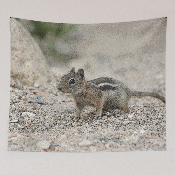 Item preview, Rocky Mountain Chipmunk designed and sold by mokacat.