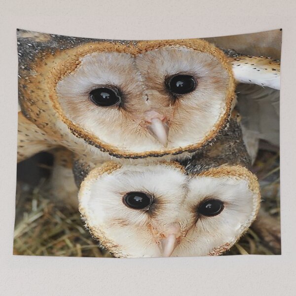Item preview, Cute baby barn owls  designed and sold by MNA-Art.