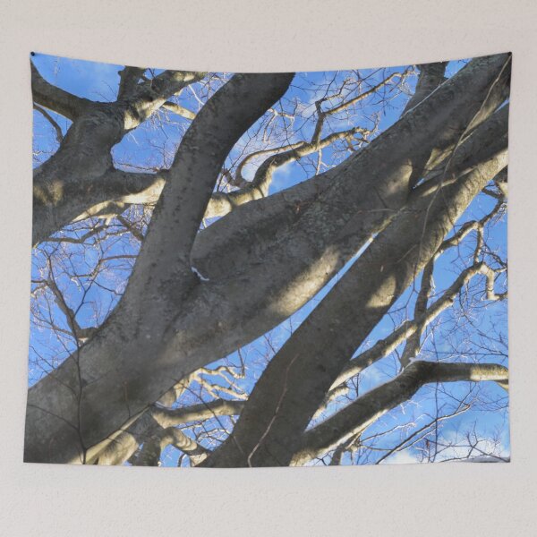 Item preview, European Beech Tree Trunk designed and sold by umeimages.