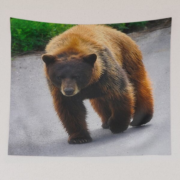 Item preview, Black Bear - Walking On The Wild Side designed and sold by IMAGETAKERS.