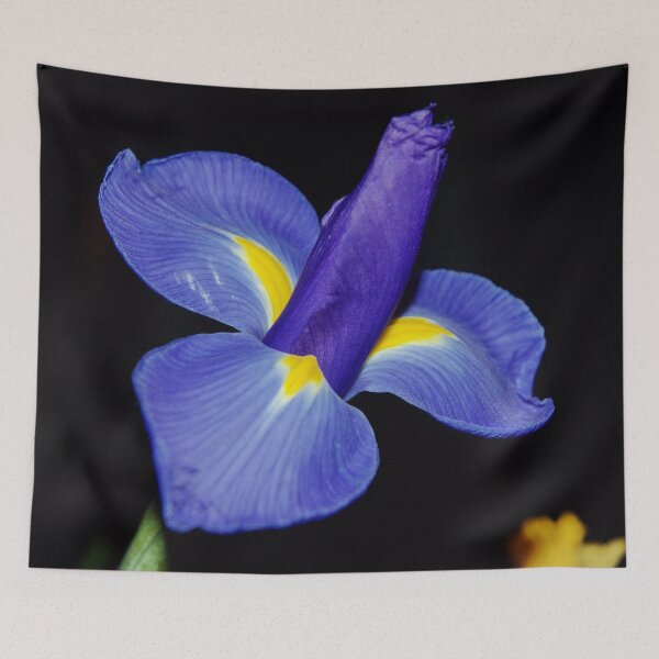 Artikelvorschau, Violet entworfen und verkauft von Barry Doherty.