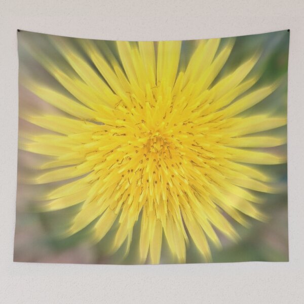 Aperçu de l'œuvre Dandelion créée et vendue par alliemac.