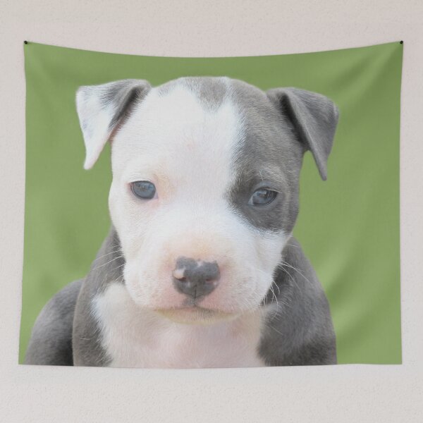 Item preview, Wondering ~ designed and sold by Ginny York.