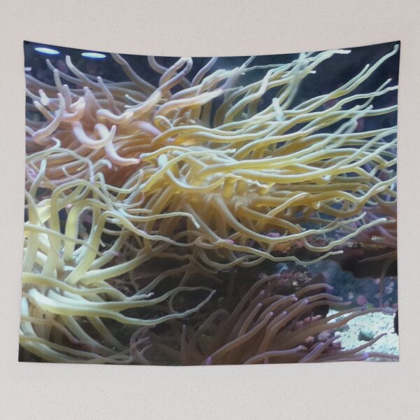 Item preview, The Anemone designed and sold by SamSteinDesigns.