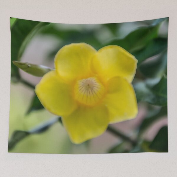 Item preview, Luminosity designed and sold by AhArtography.