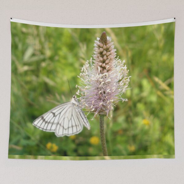Item preview, Subtle beauty on a summer day designed and sold by crystalline.