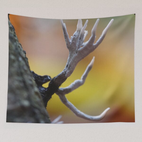 Item preview, Xylaria hypoxylon designed and sold by Lindie Allen.