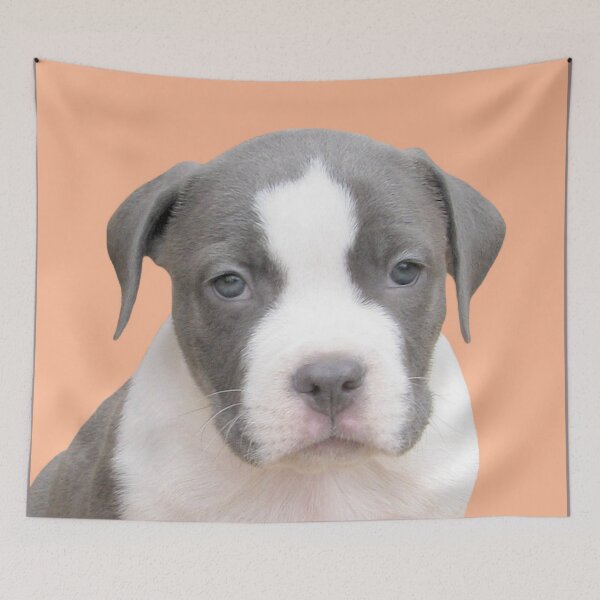 Item preview, I'm Too Cute For Words ~ designed and sold by Ginny York.