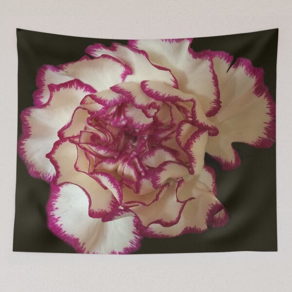 Item preview, Pink Edged Carnation designed and sold by alliemac.