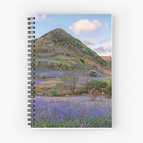 Item preview, Rannerdale Bluebells designed and sold by Jonathan Ellison Photography.
