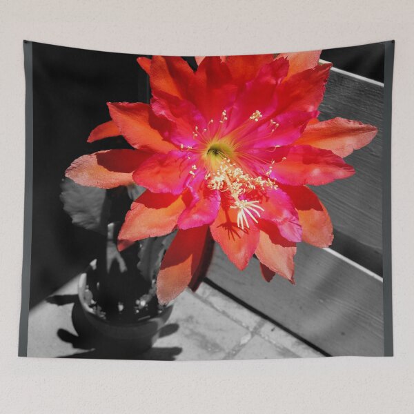 Item preview, Cactus Flower At High Noon designed and sold by Michael May.