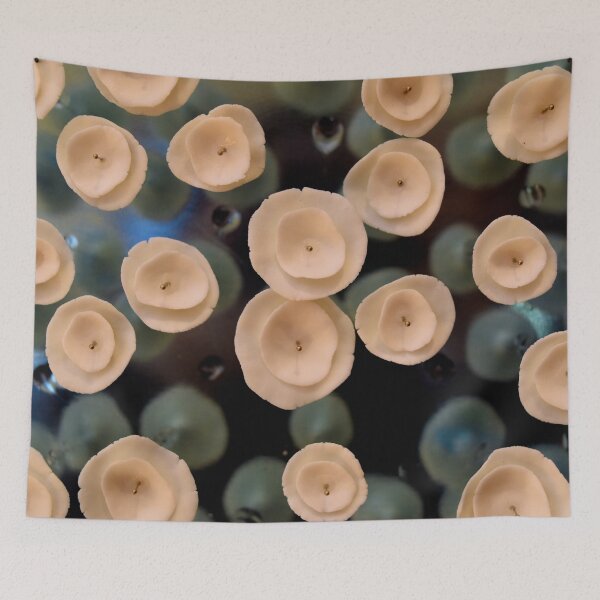 Item preview, Pinfield Detail designed and sold by umeimages.