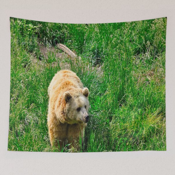 Item preview, Rexburg Idaho - Bear Watch designed and sold by IMAGETAKERS.