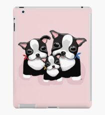 Vinilo o funda para iPad Boston Terriers