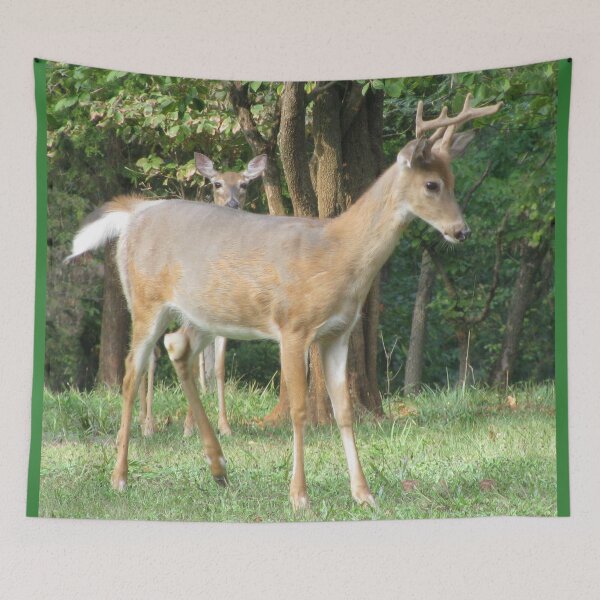 Item preview, Young Buck and the Peeper designed and sold by Ginny York.