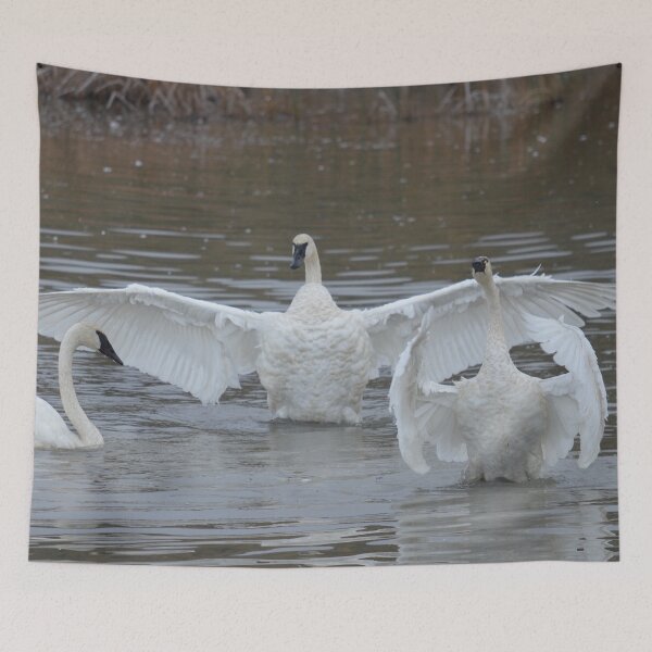 Item preview, Swan Dance - 2 out of 3 designed and sold by AlsknMommaBear2.