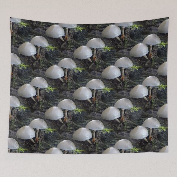 Tapestry