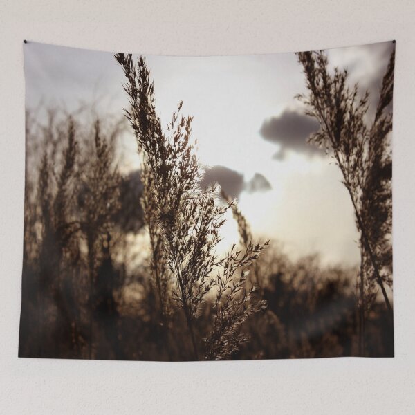 Item preview, Feeling the Light designed and sold by Vicki Spindler (VHS Photography).