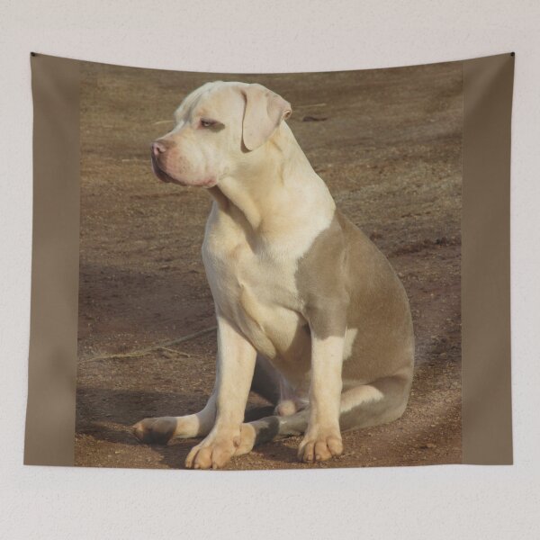 Item preview, Champ designed and sold by Ginny York.